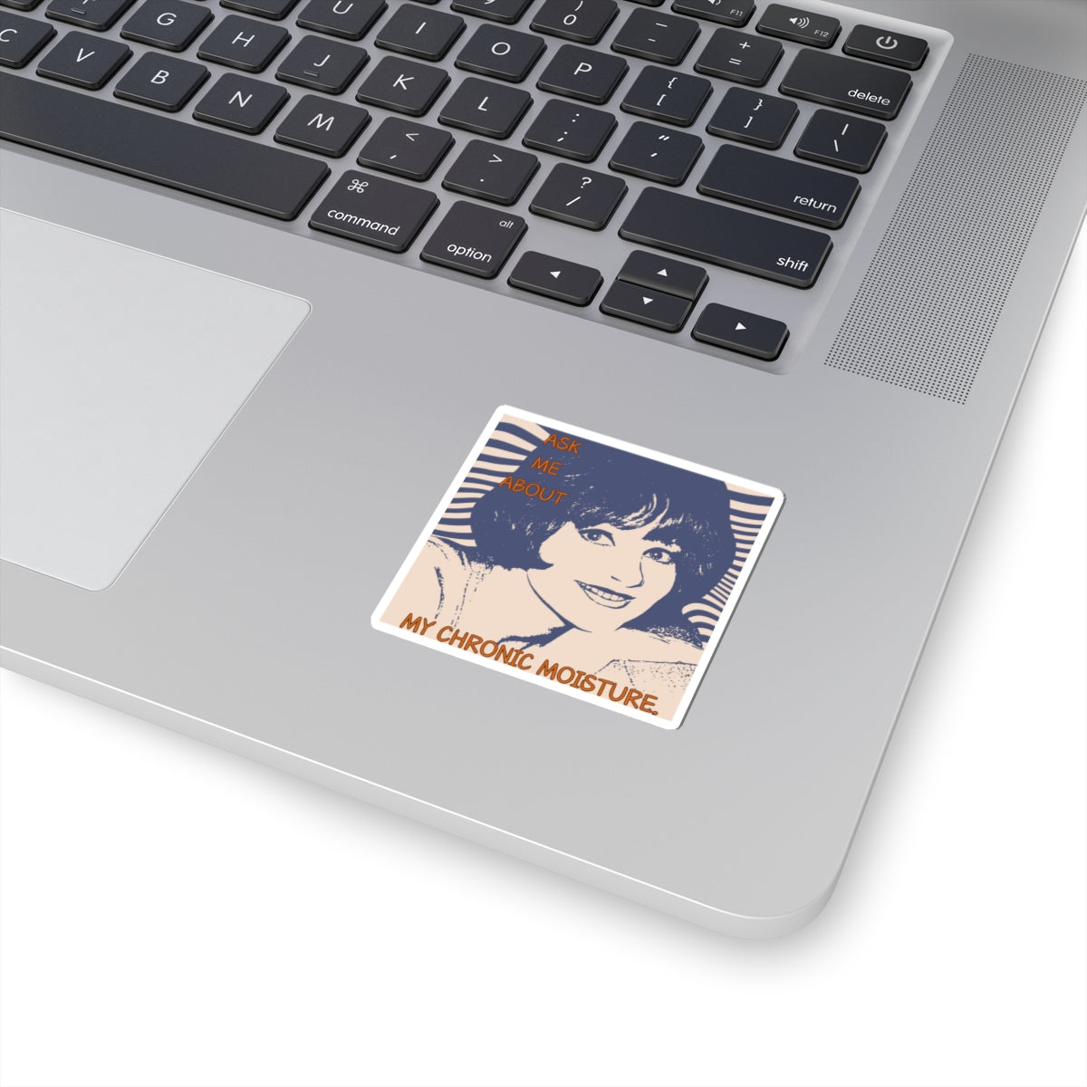 "Chronic Moisture" Kiss-Cut Stickers, Fun Laptop Stickers, Humorous Gift, Vinyl Decals.