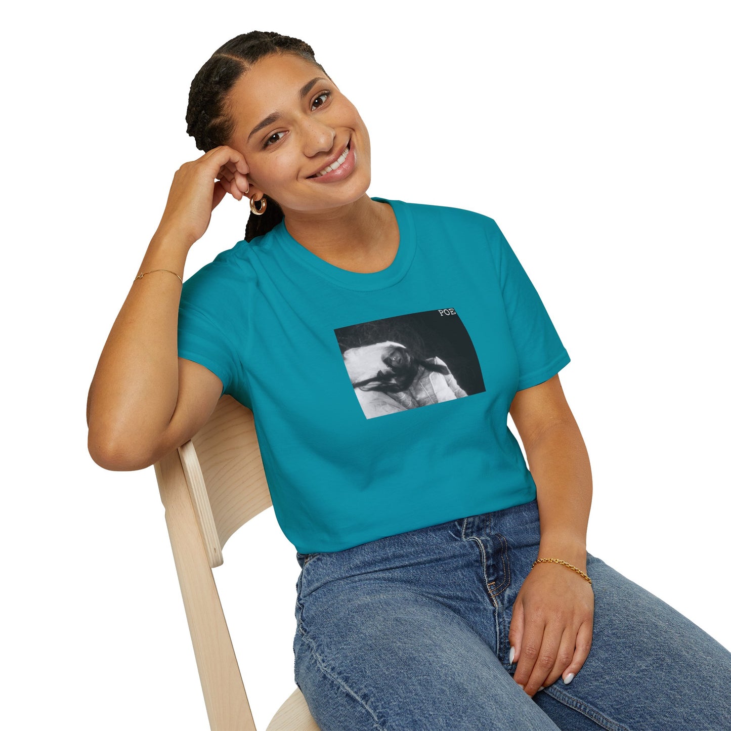 'The Fall of The House of Usher'. Unisex Softstyle T-Shirt