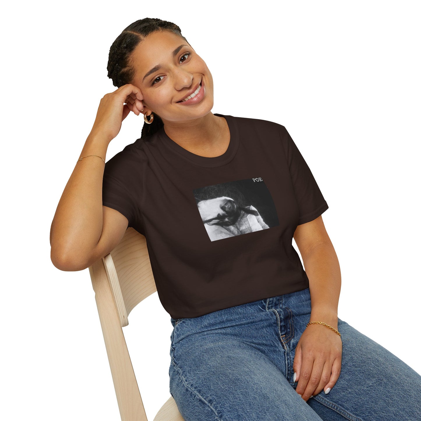 'The Fall of The House of Usher'. Unisex Softstyle T-Shirt