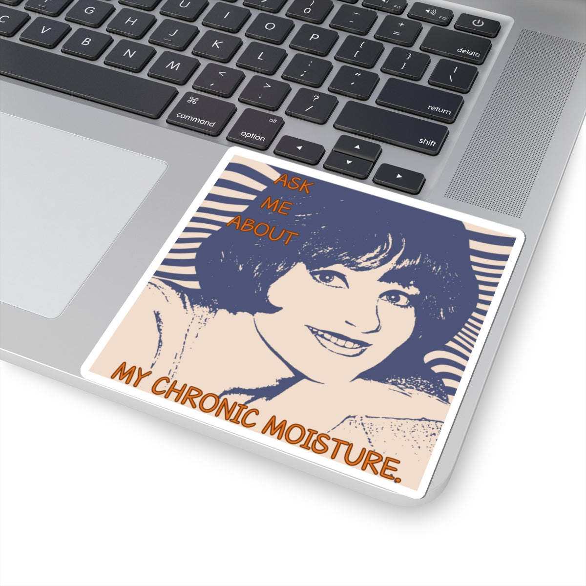 "Chronic Moisture" Kiss-Cut Stickers, Fun Laptop Stickers, Humorous Gift, Vinyl Decals.