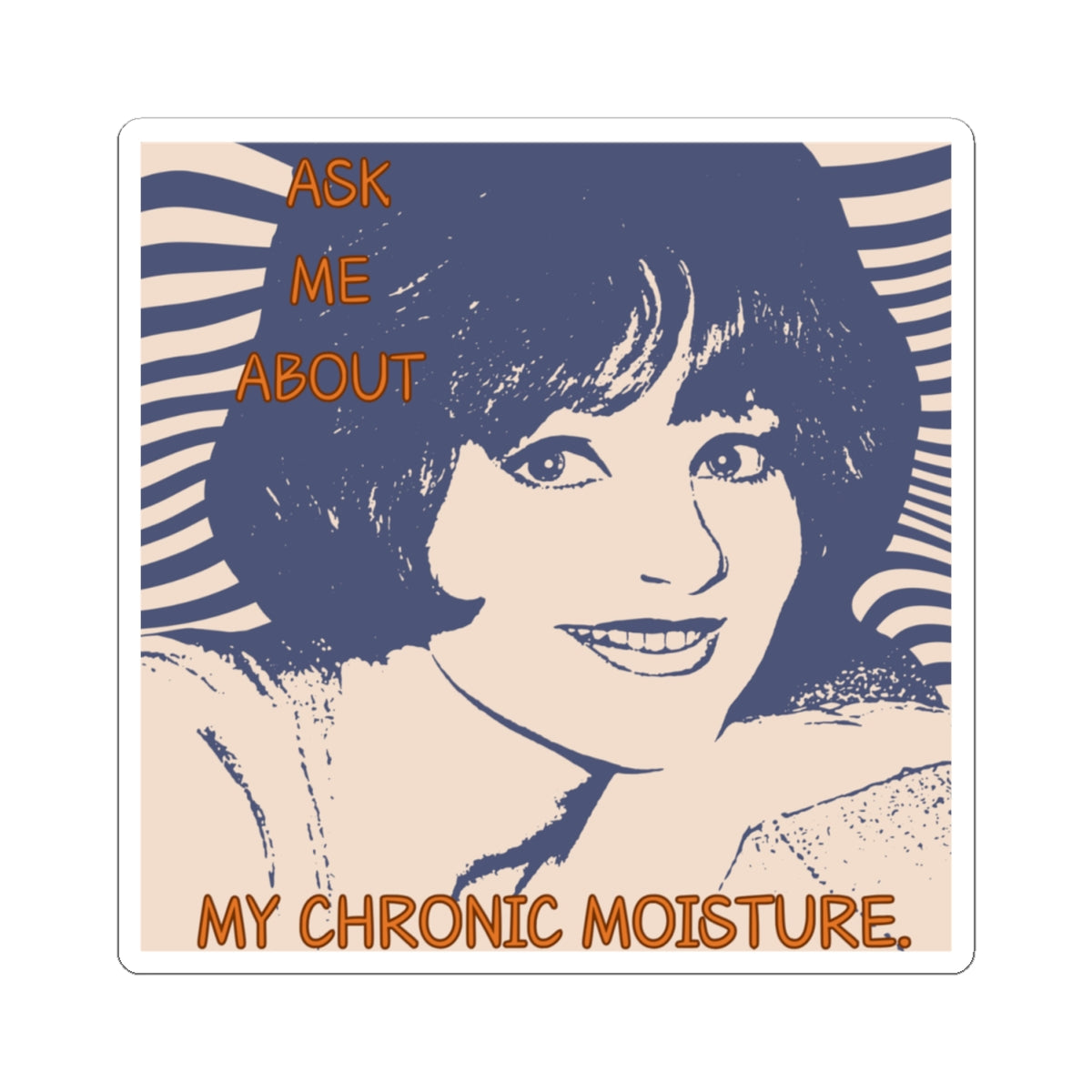"Chronic Moisture" Kiss-Cut Stickers, Fun Laptop Stickers, Humorous Gift, Vinyl Decals.