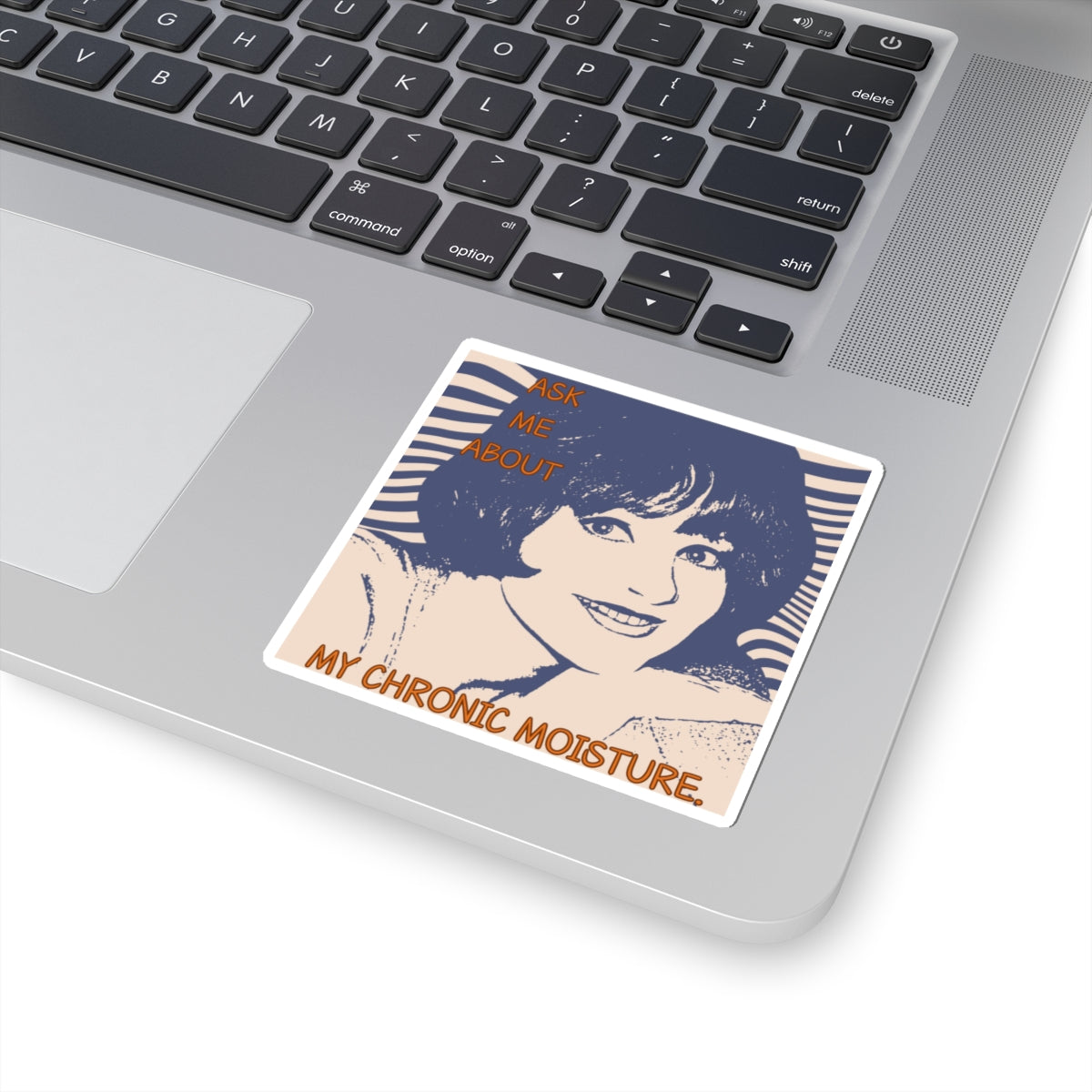 "Chronic Moisture" Kiss-Cut Stickers, Fun Laptop Stickers, Humorous Gift, Vinyl Decals.