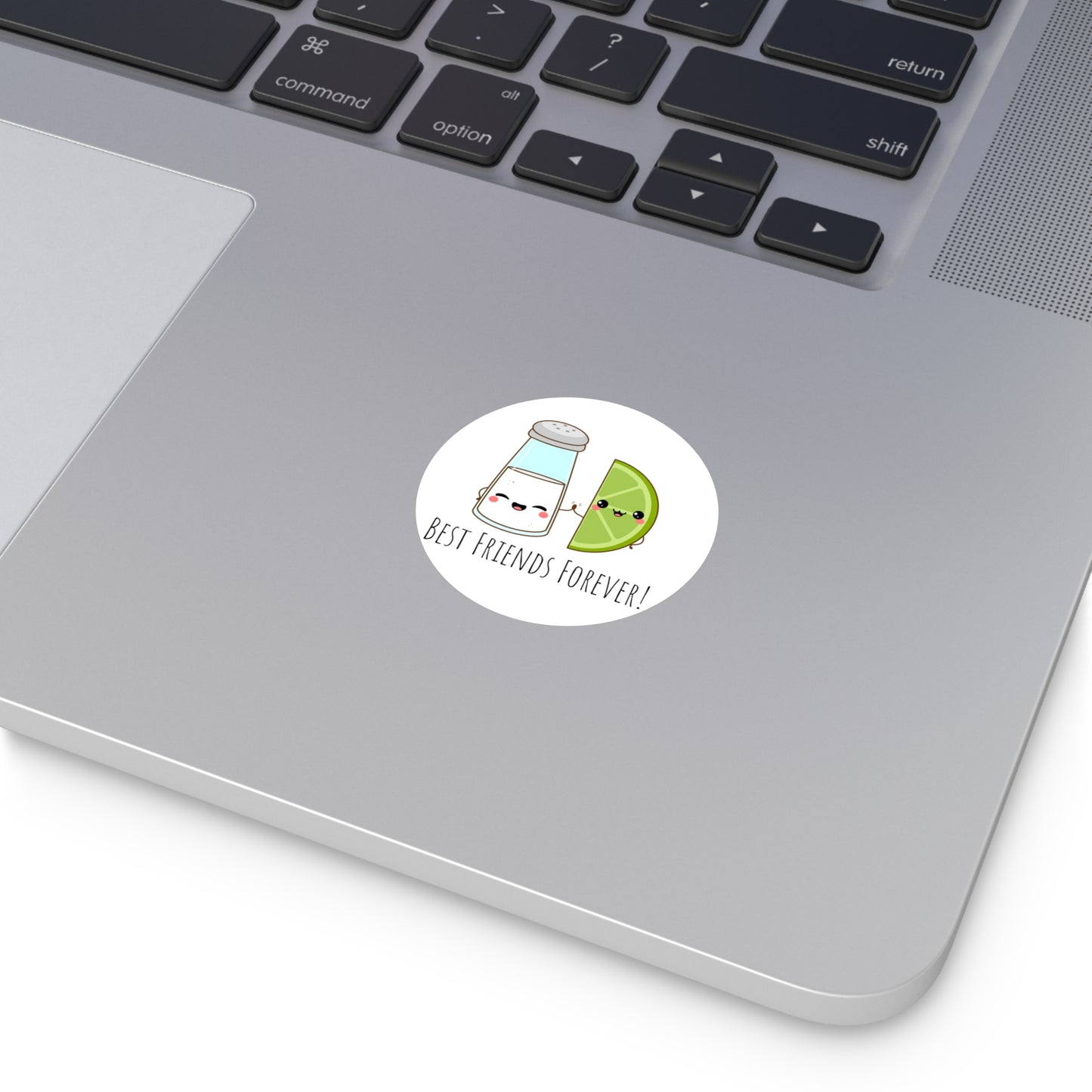 'Salt & Lime Best Friends Forever!' Cute Round Vinyl Stickers