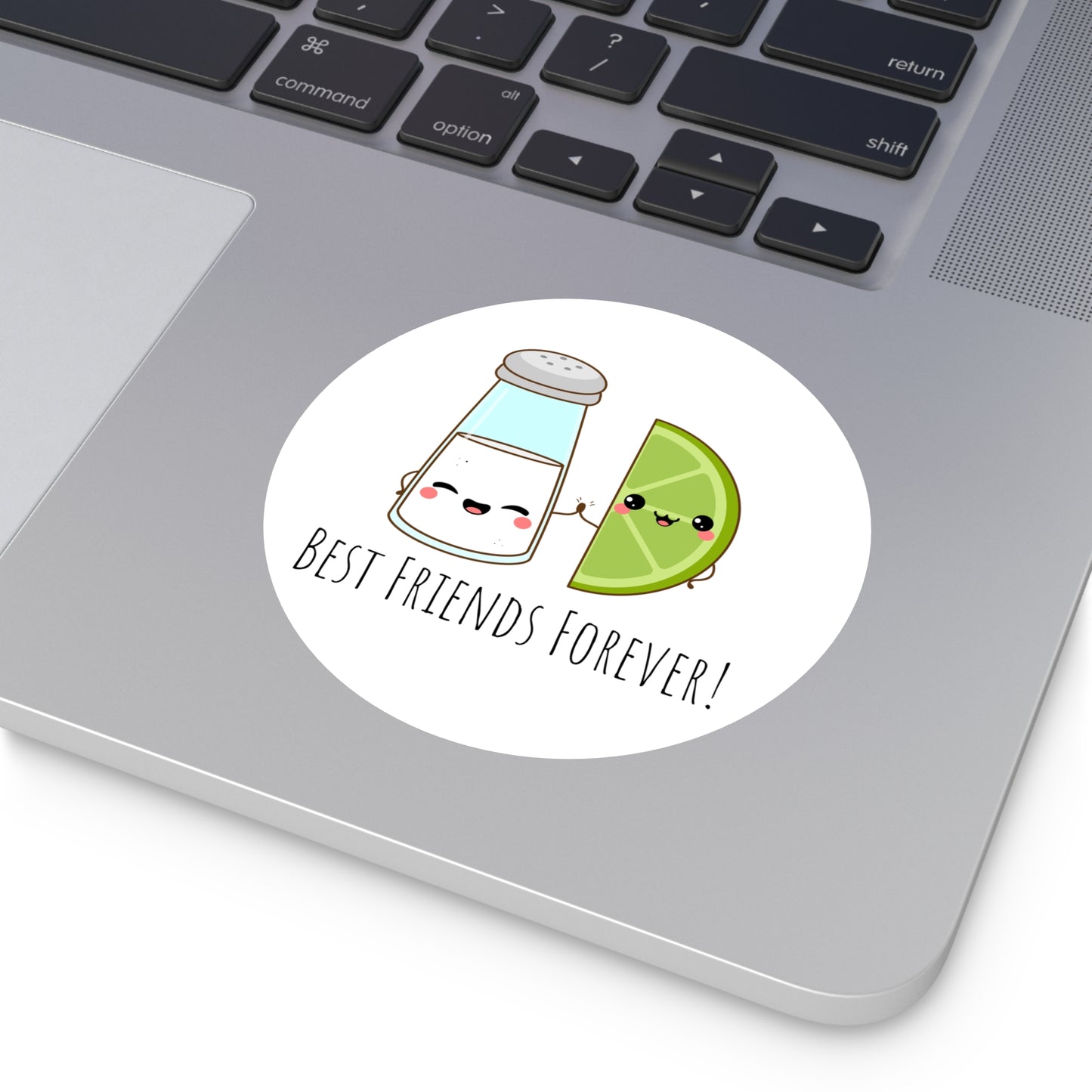 'Salt & Lime Best Friends Forever!' Cute Round Vinyl Stickers