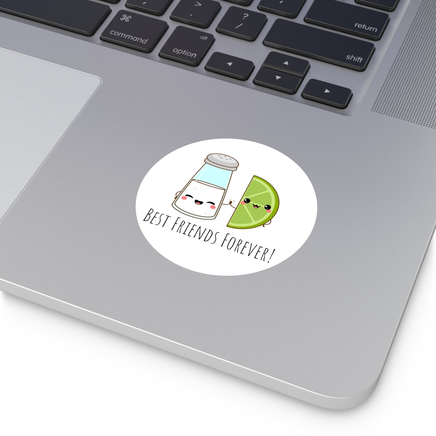 'Salt & Lime Best Friends Forever!' Cute Round Vinyl Stickers
